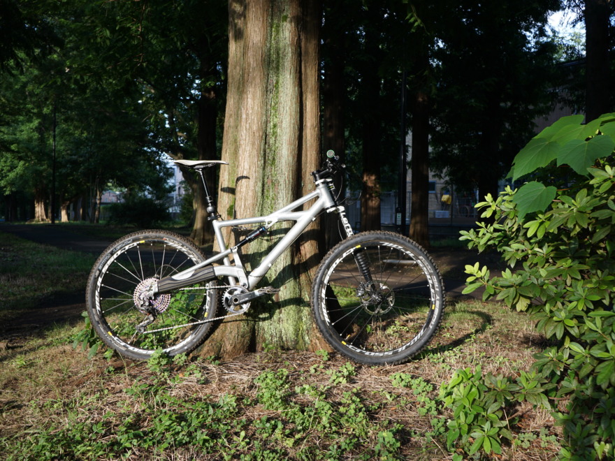 cannondale prophet