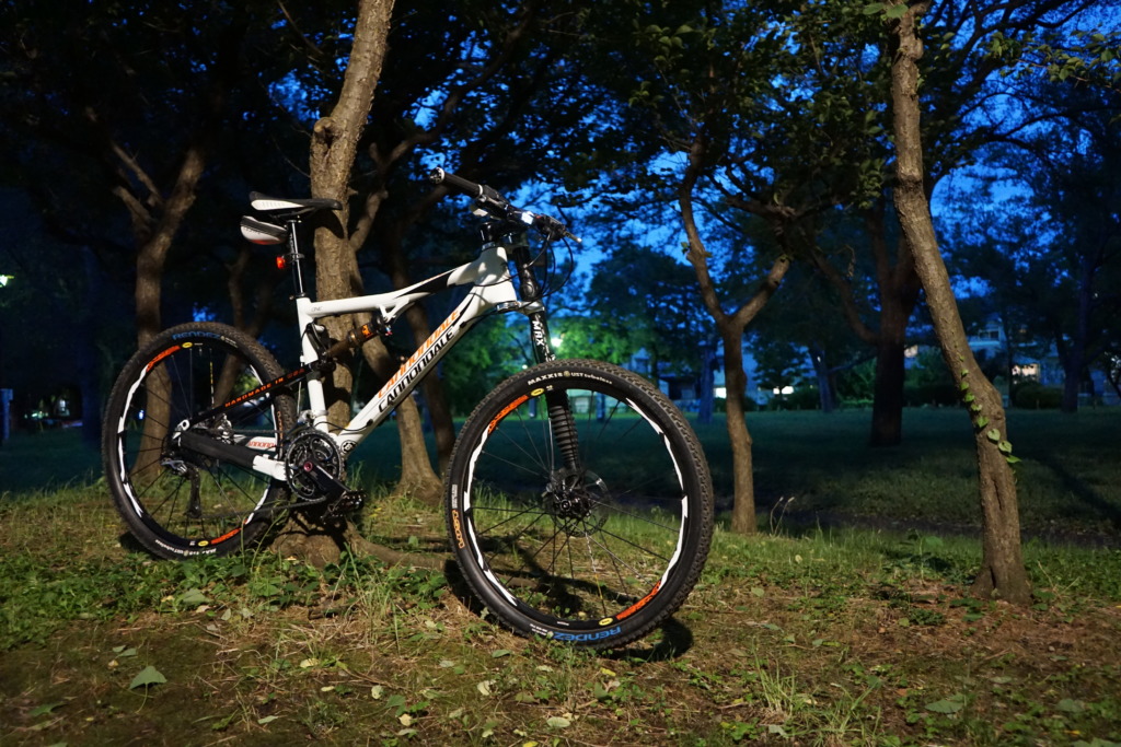 cannondale rize carbon one