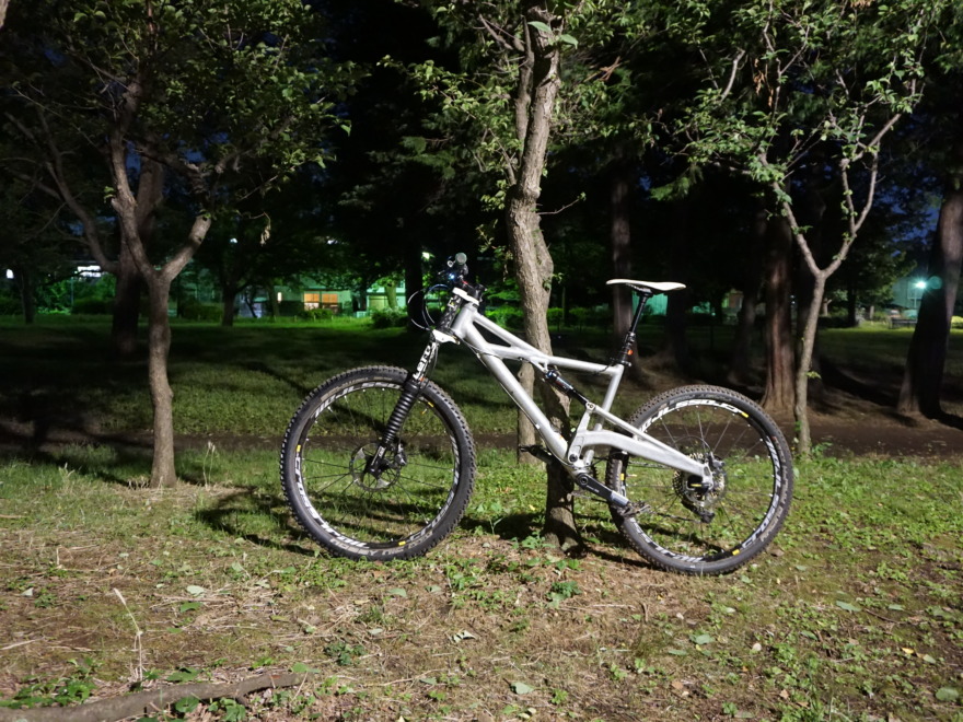 cannondale prophet