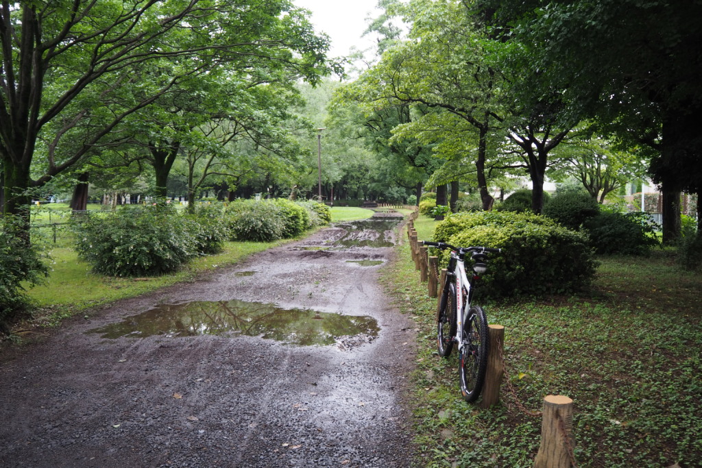 水たまり