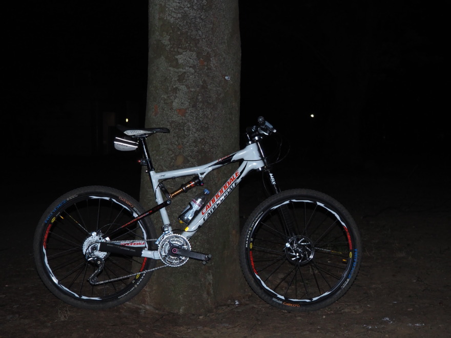 cannondale rize