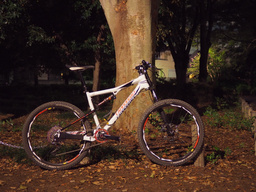 cannondale rize