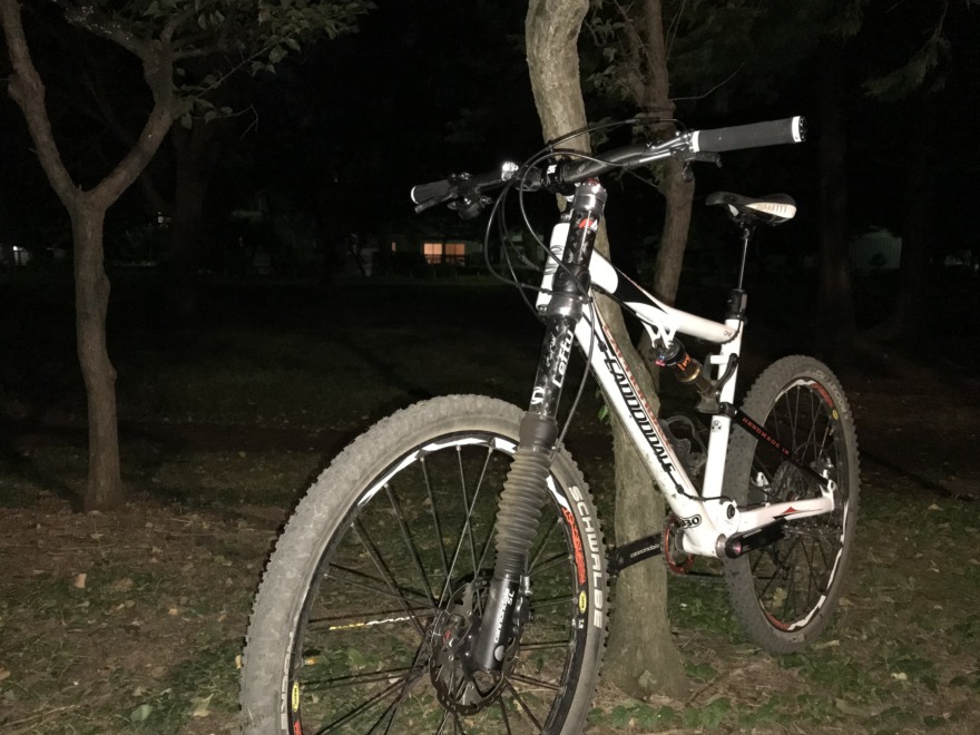 cannondale rize