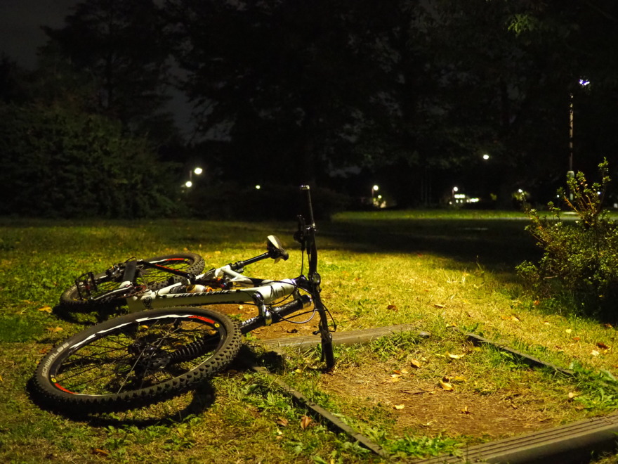 Cannondale Rize