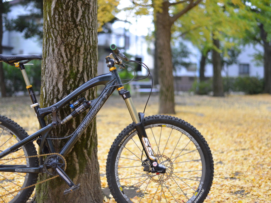 SANTA CRUZ NOMAD 2005