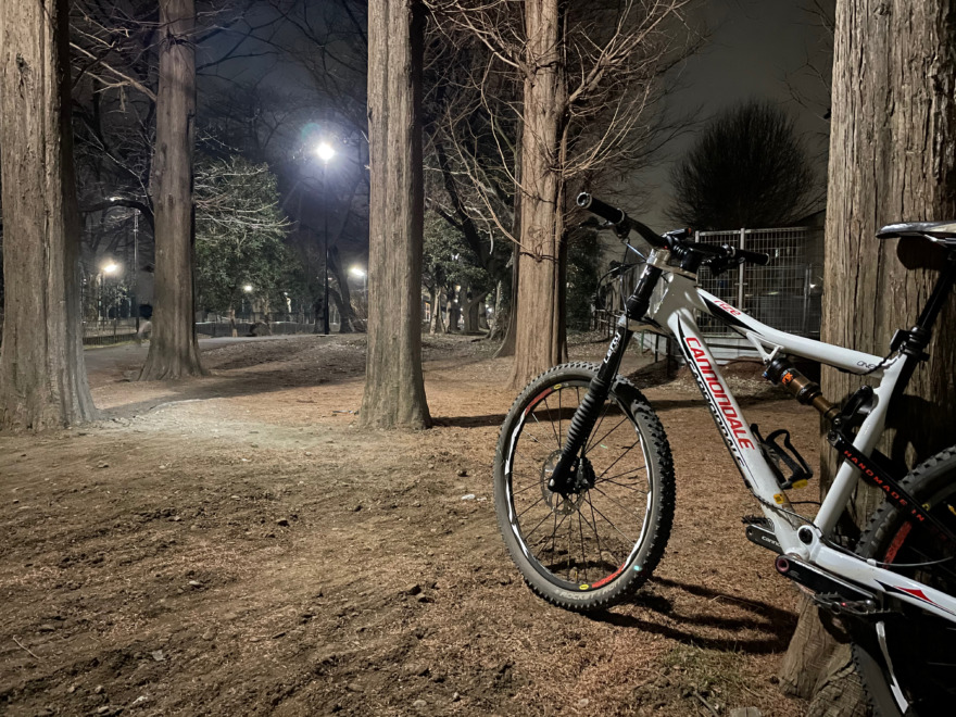 cannondale rize carbon one