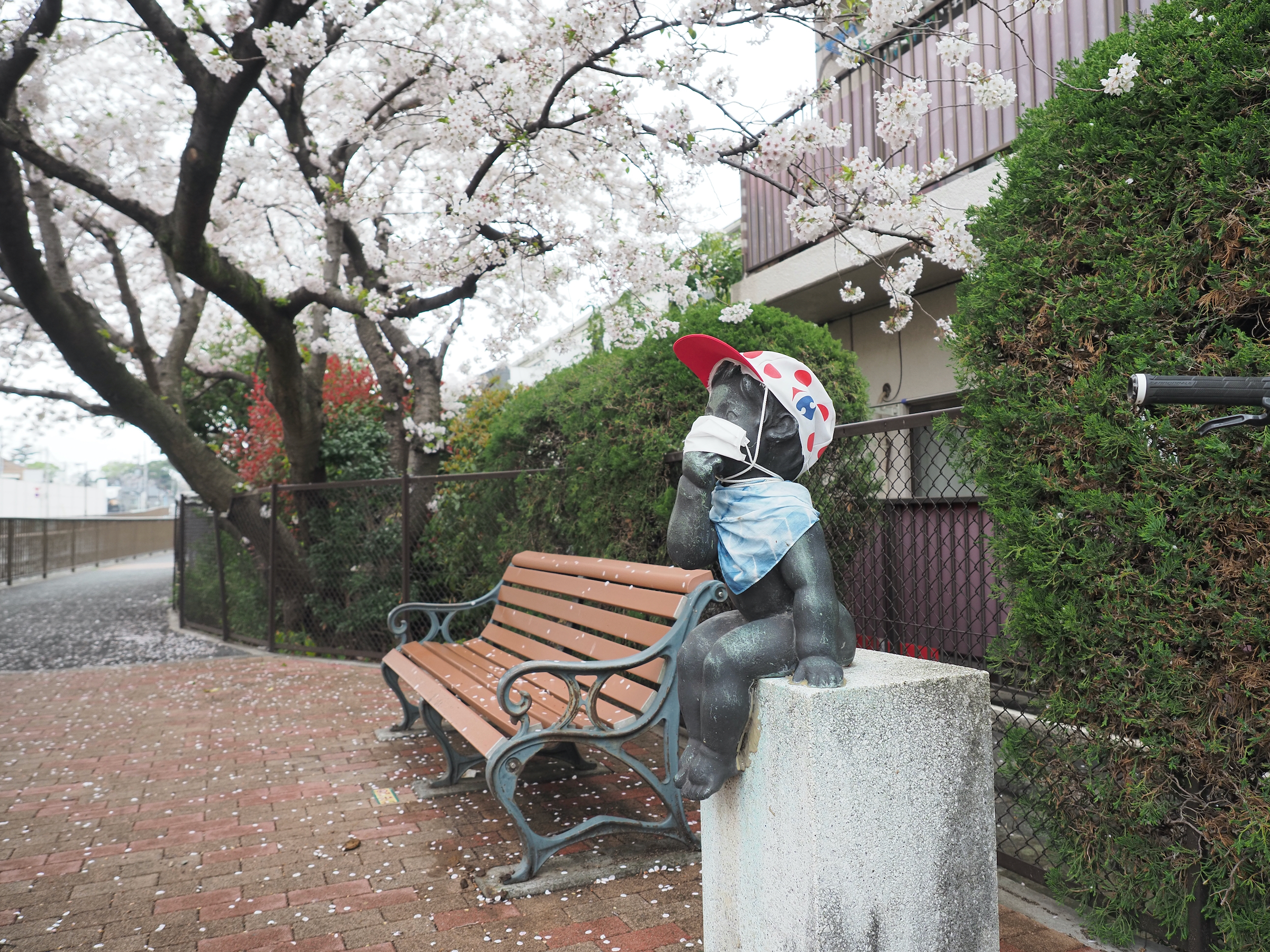 桜を見るマスクの子