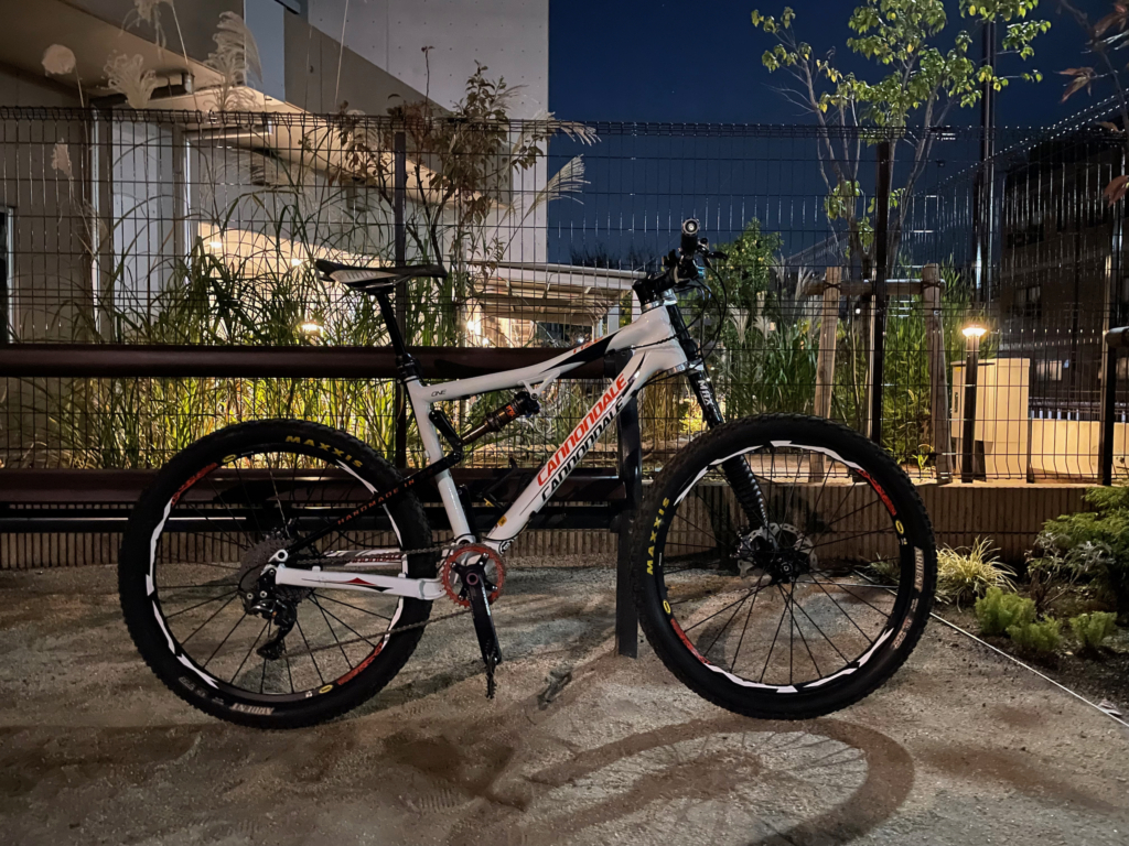 cannondale rize carbon one