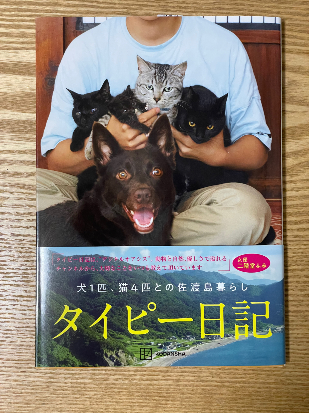 タイピー日記「犬1匹、猫4匹との佐渡島暮らし」単行本(ソフトカバー)