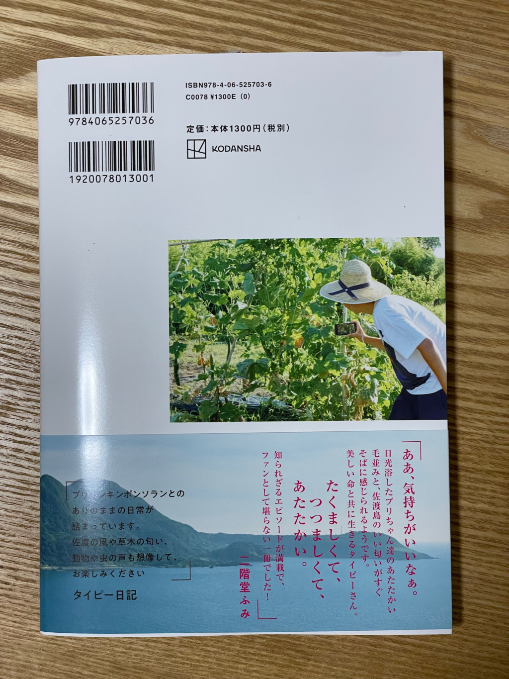 タイピー日記「犬1匹、猫4匹との佐渡島暮らし」単行本(ソフトカバー)