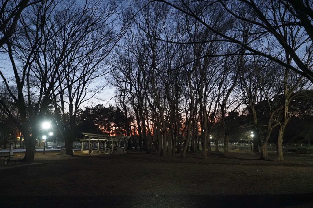 近所の公園の夕焼け