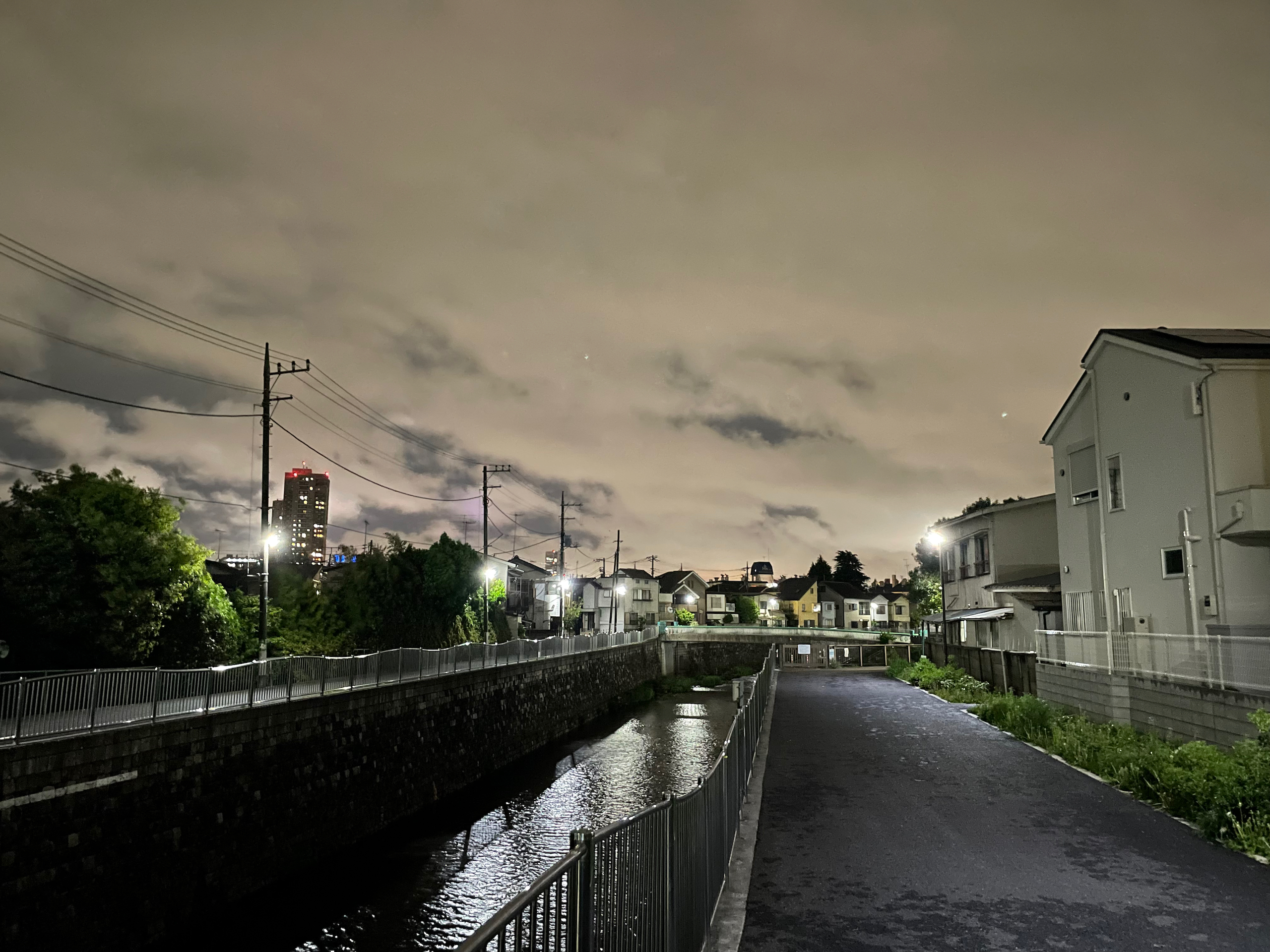 済美橋から武蔵野橋を眺める