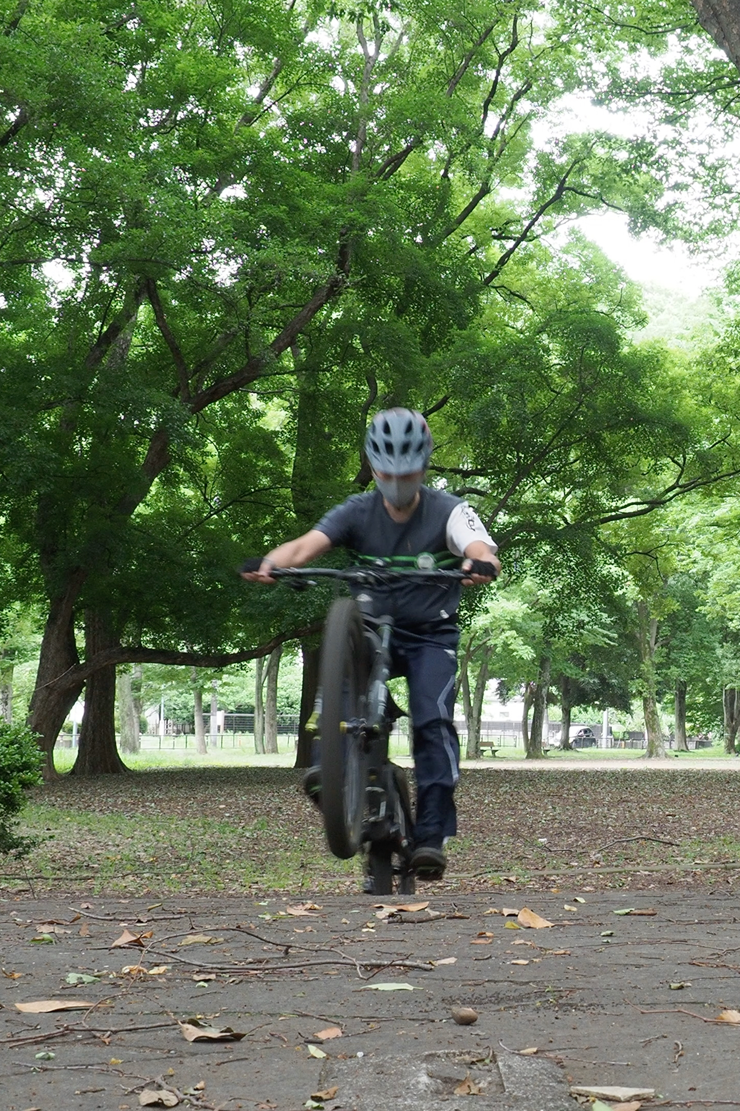 段差登り