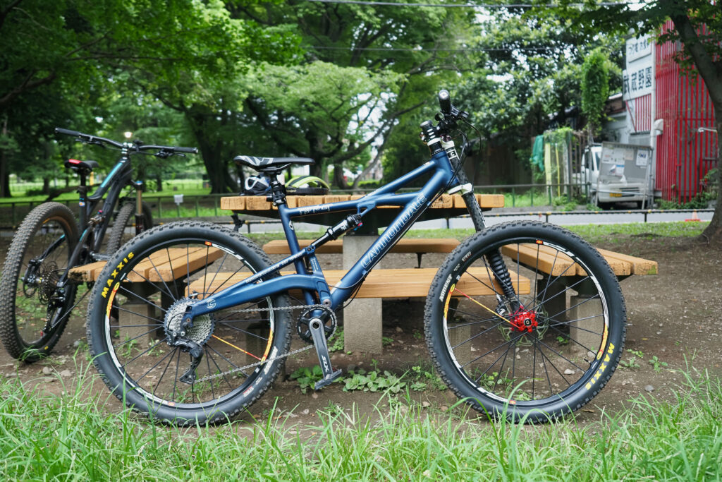 Cannondale Prophet 2005