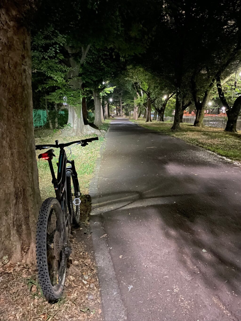 雨宿り