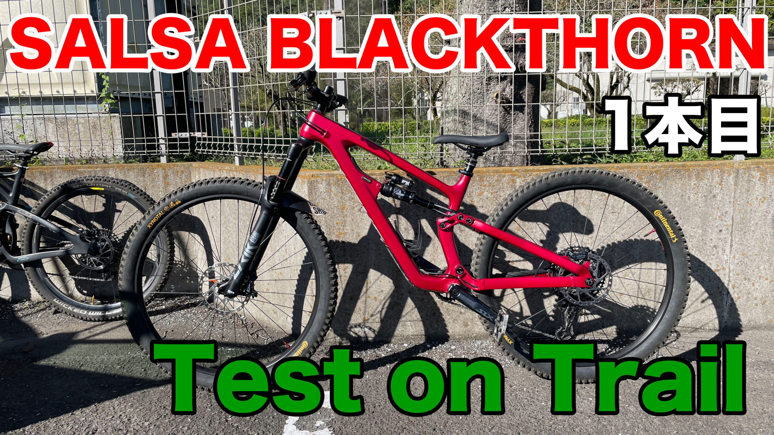 SALSA BLACKTHORN CARBON