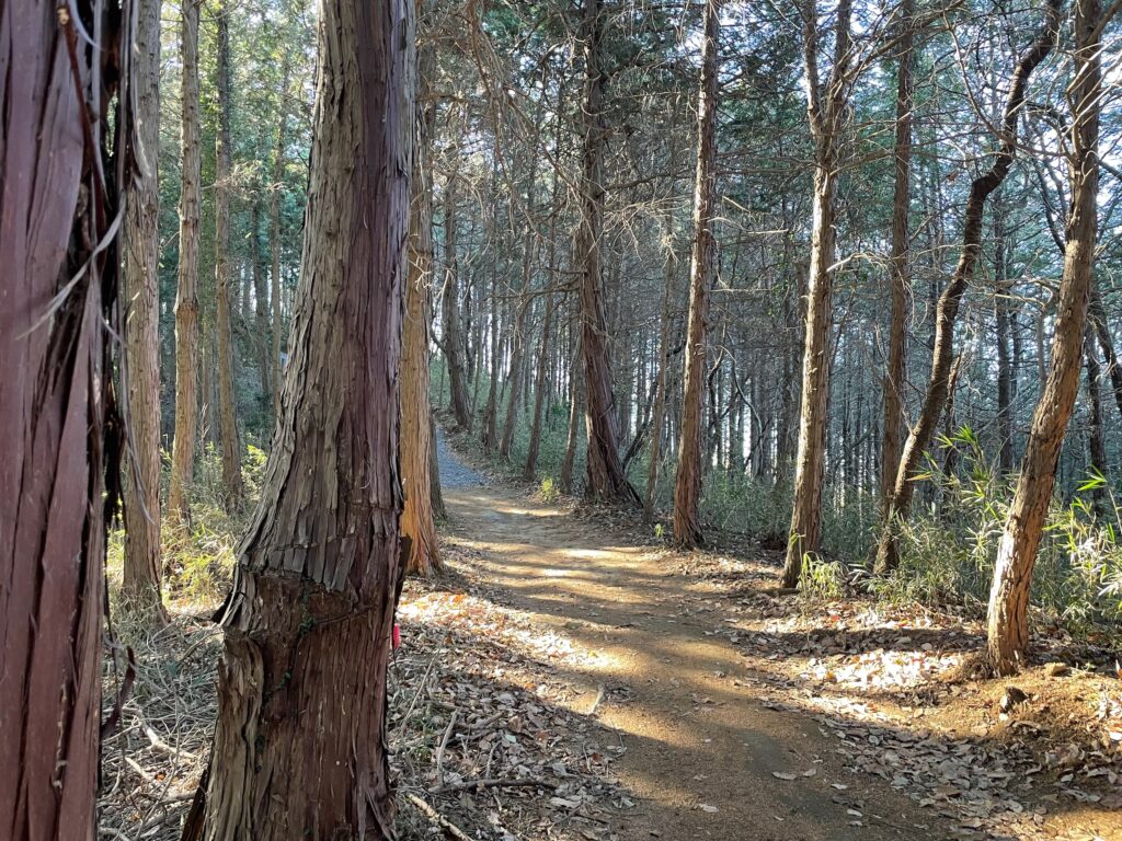 遠出した感じがあって嬉しい山の中