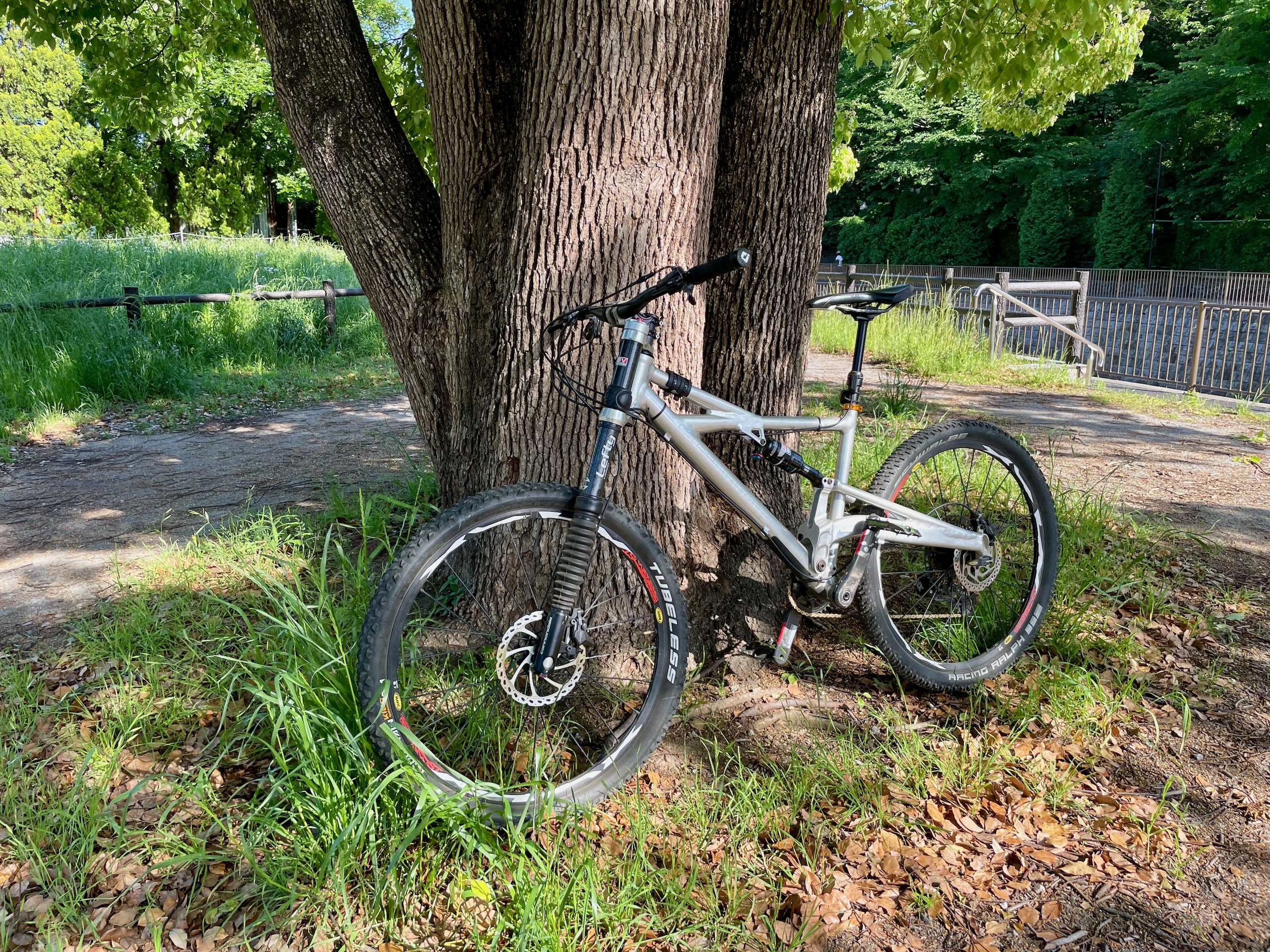 Cannondale Prophet