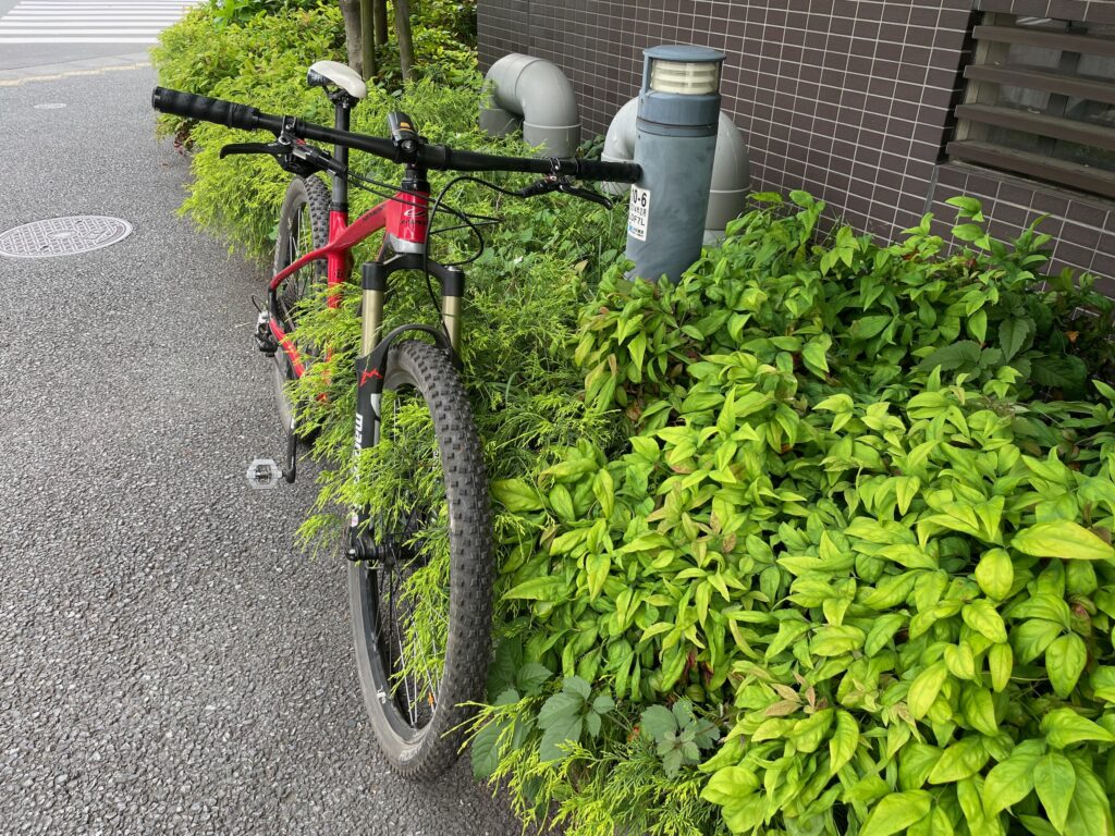 雨が強まる