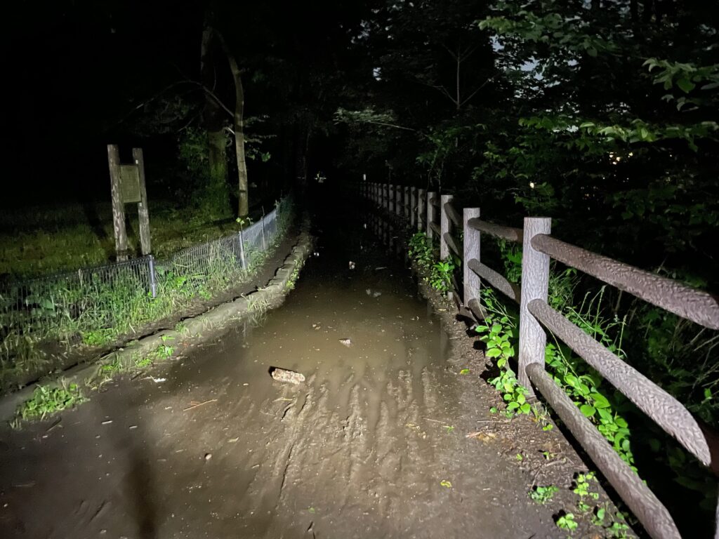 水たまりが道いっぱいに広がる