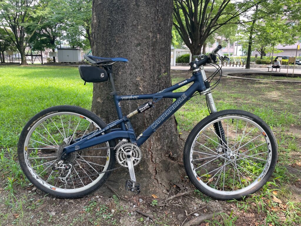 Cannondale Prophet 800