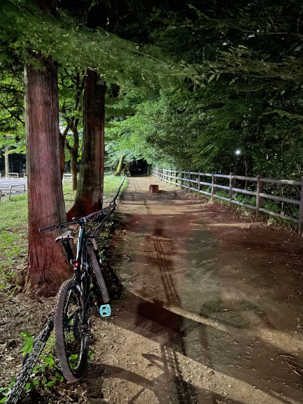 玉川上水復路