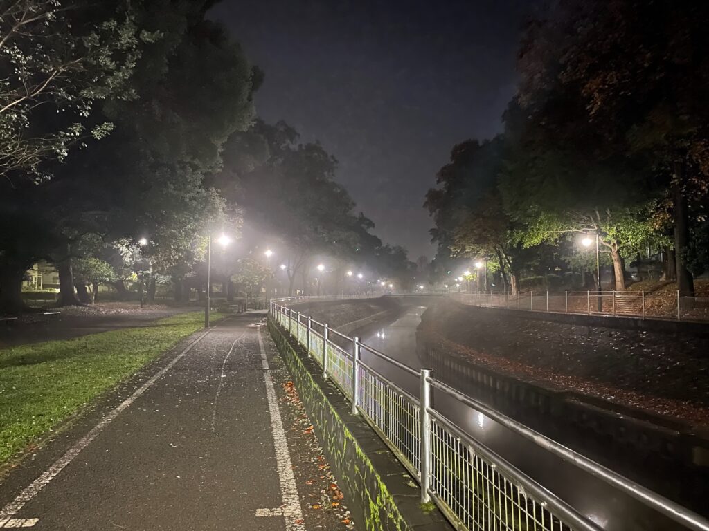 帰りも同じところだけ夜霧が濃かった