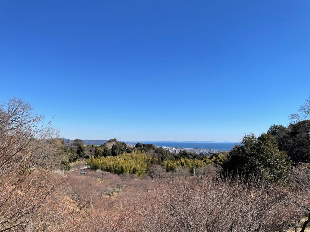 小田原の海