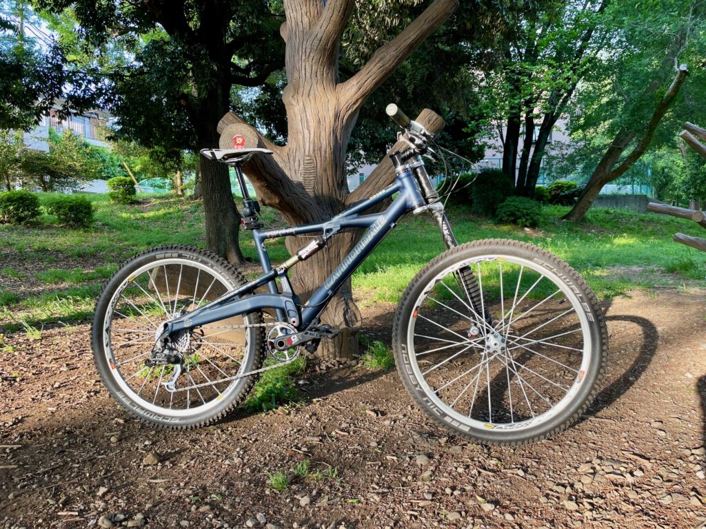Cannondale Prophet