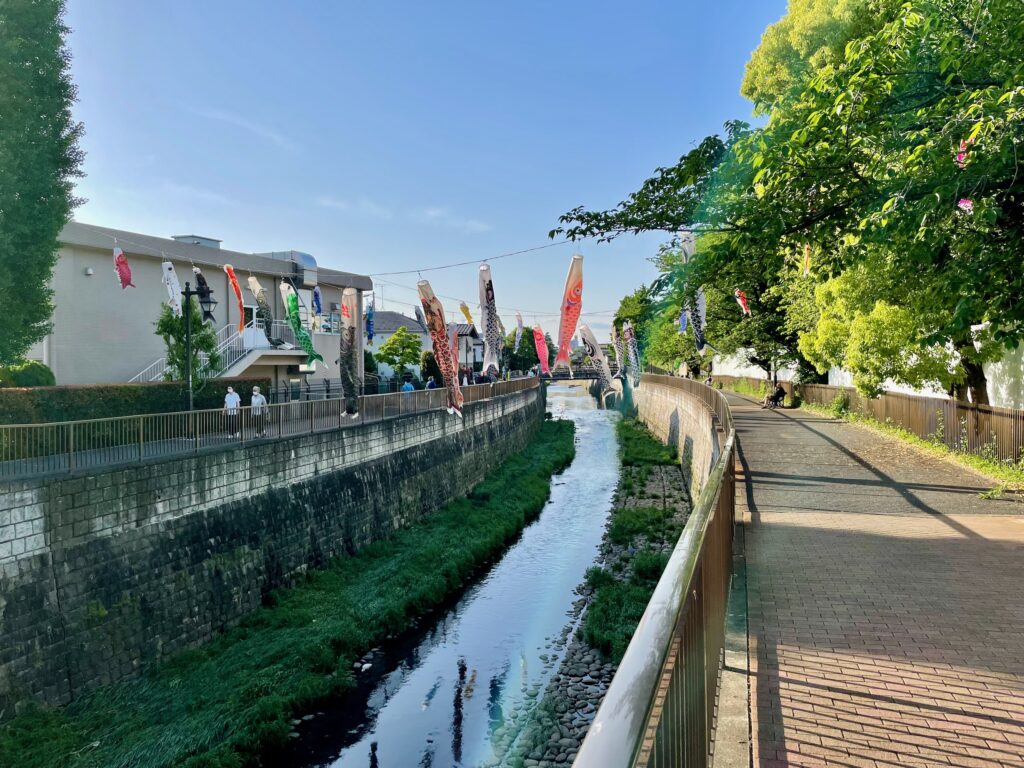明後日は端午の節句
