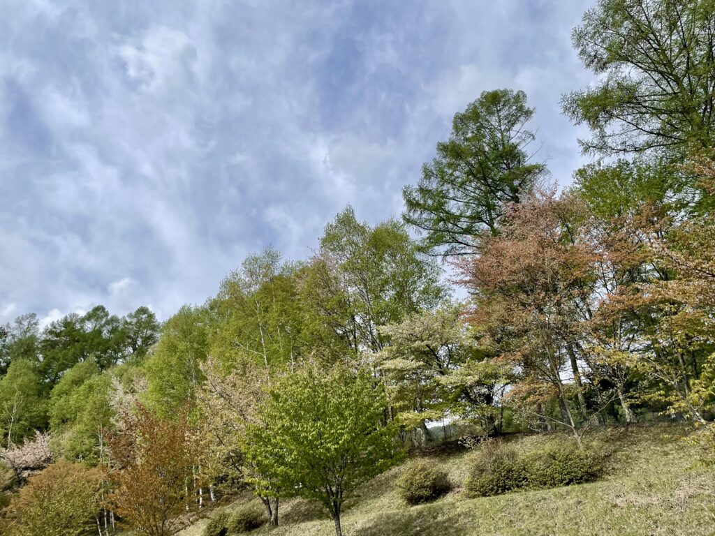 富士見パノラマ