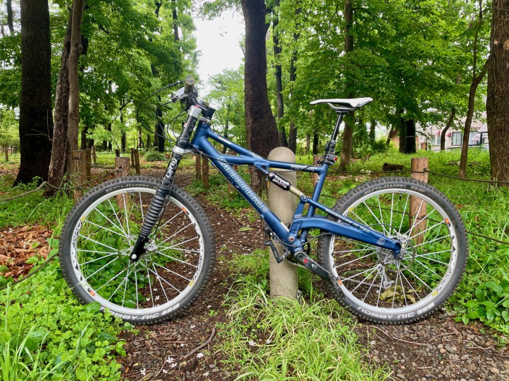 Cannondale Prophet