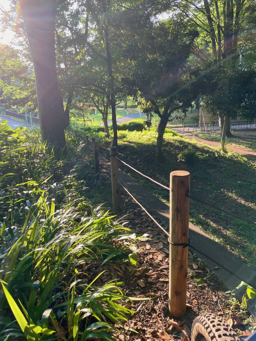 なんと、ロープが張られた