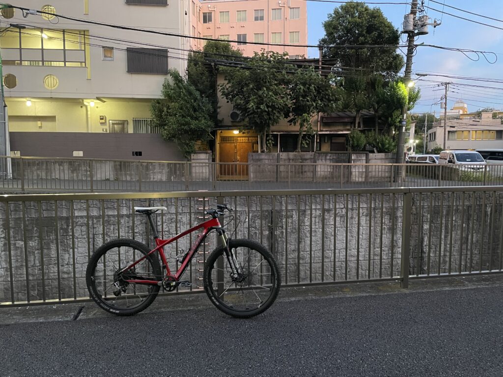 妻のウォーキングに付き合うだけで終了