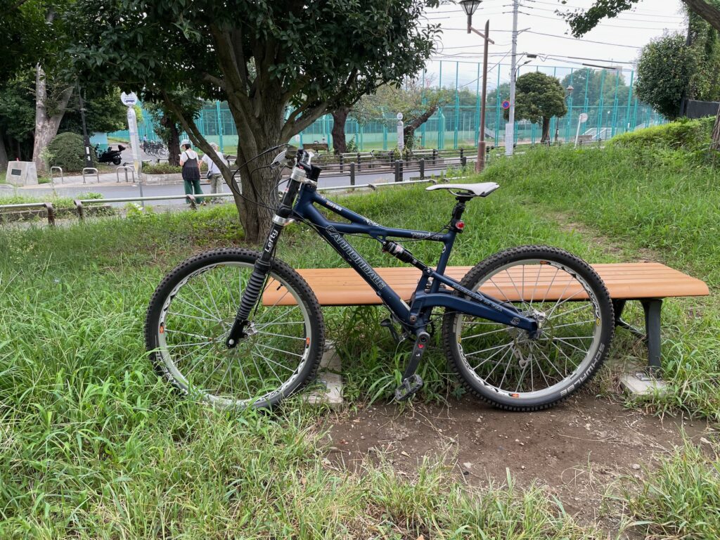 Cannondale Prophet