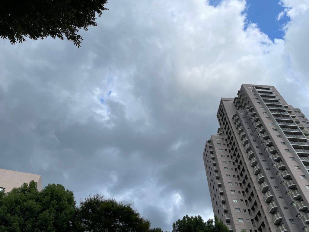 涼しかった