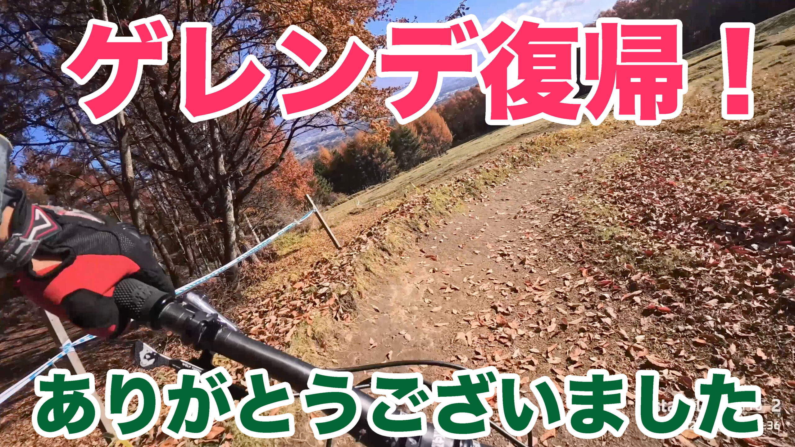 2025-11-16-富士見パノラマ