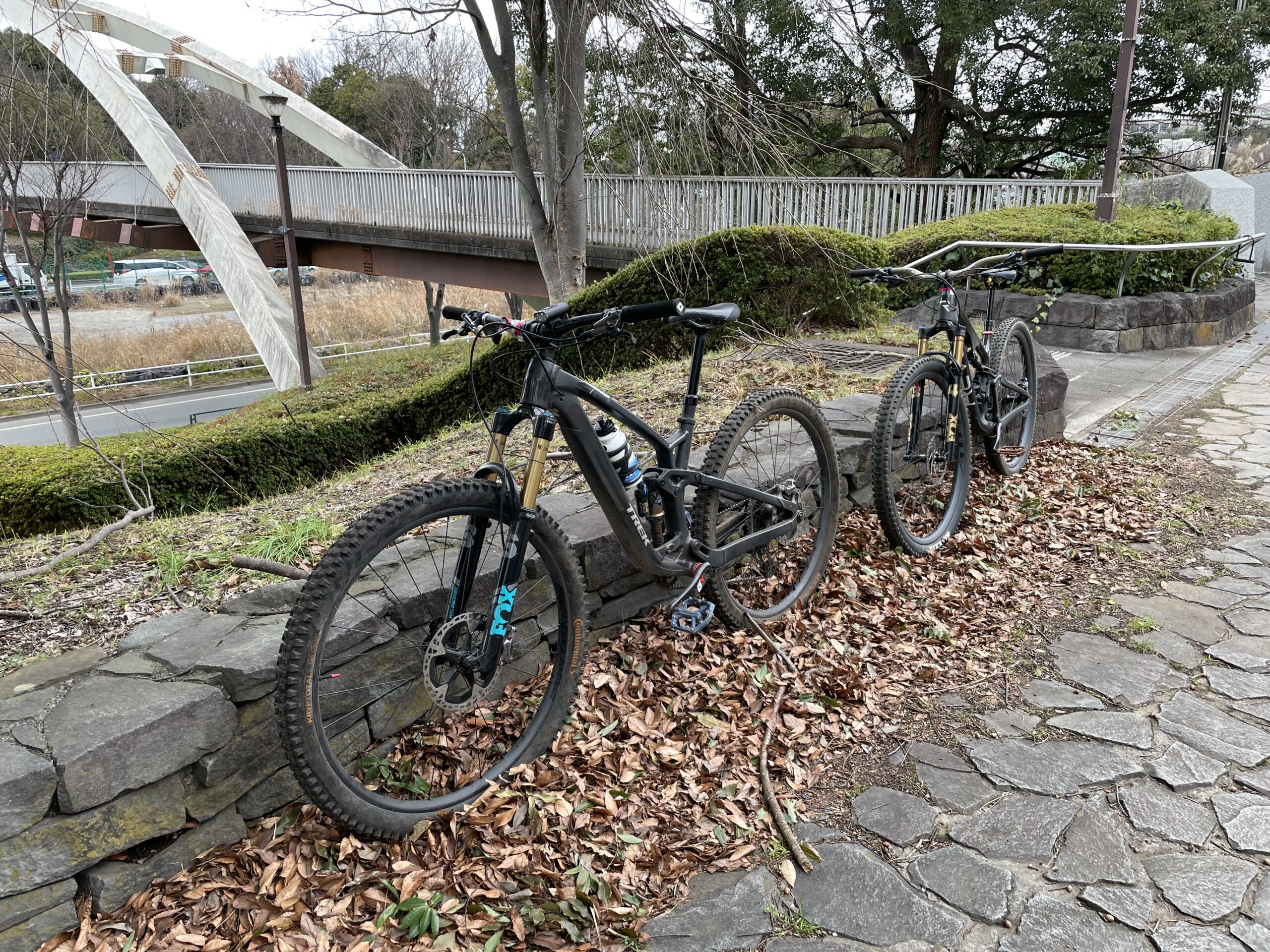 トレイルを走りました