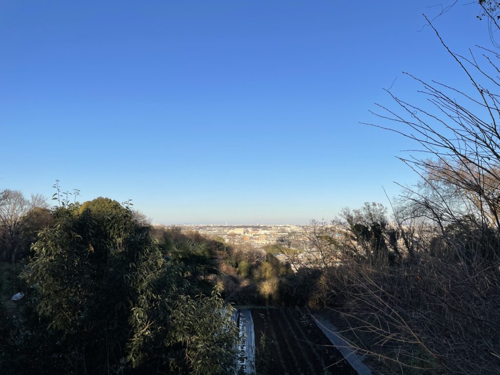 市街地を見下ろす