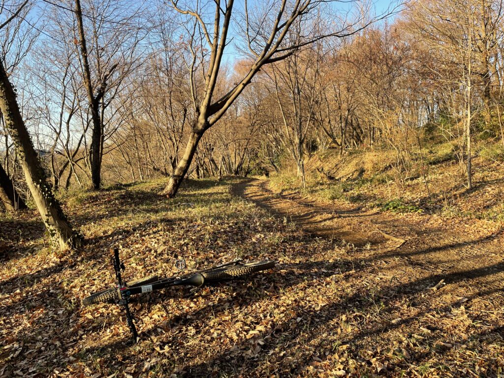 林道を下って終わります