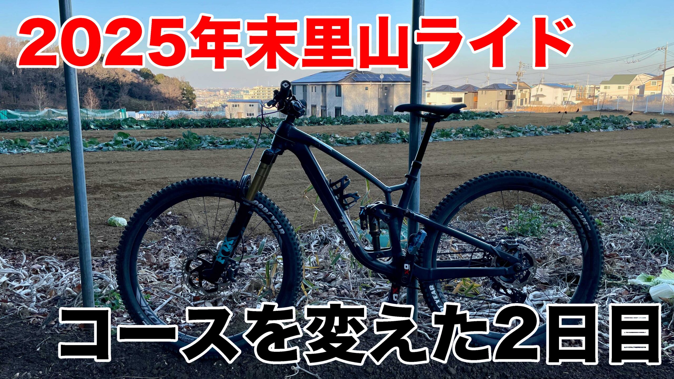 2025-12-29-里山