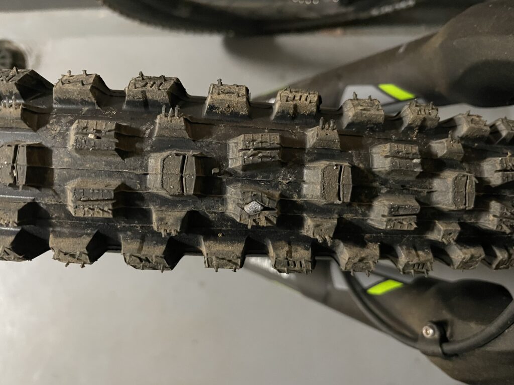 結構大きな小石も