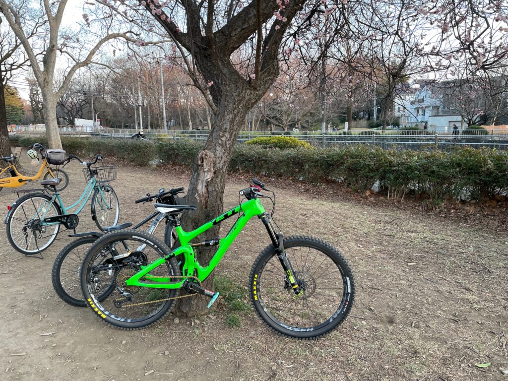 花が咲いていた