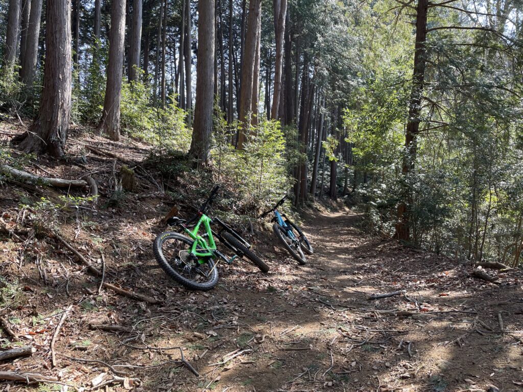 26年初トレイル