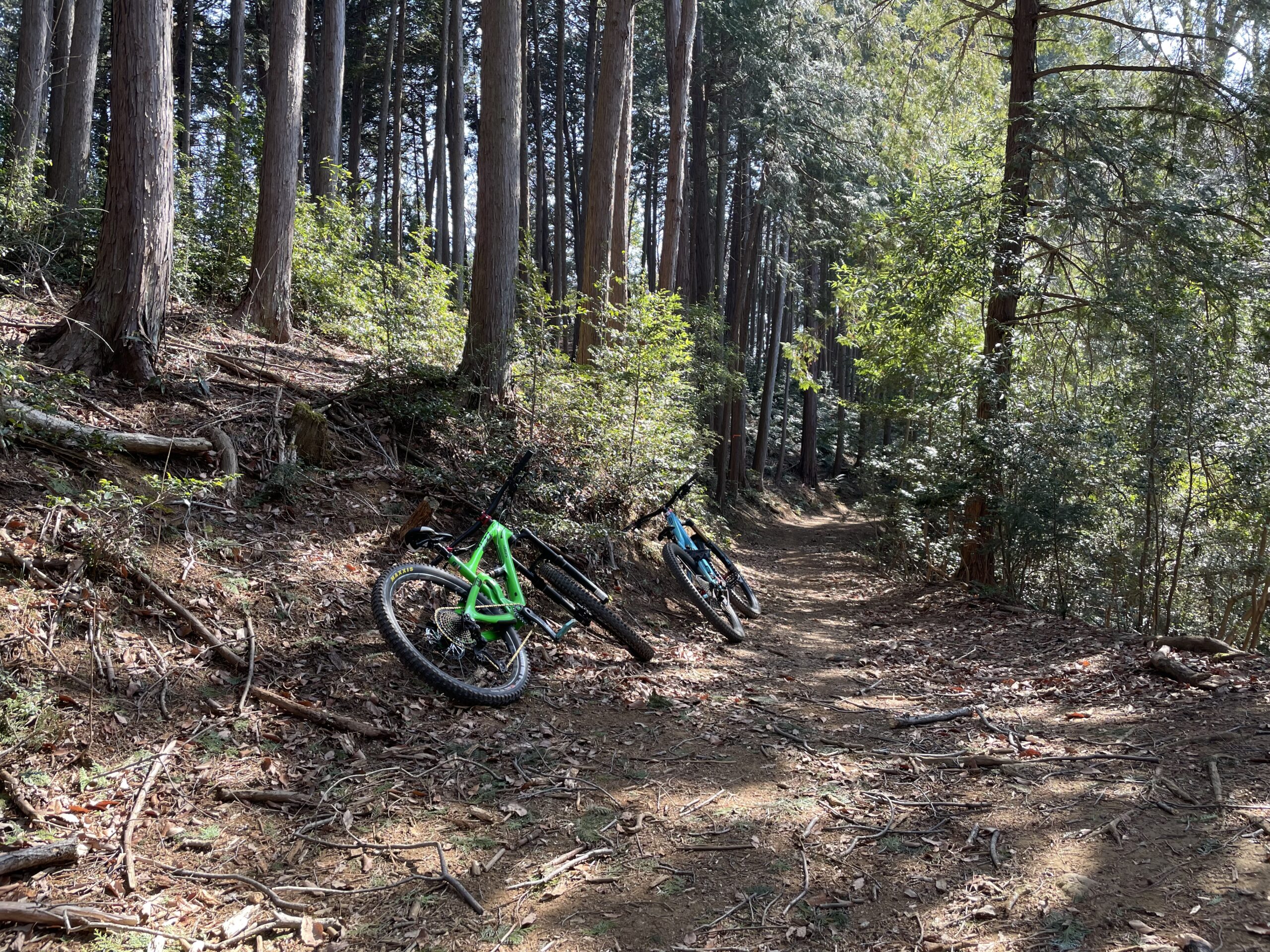 26年初トレイル