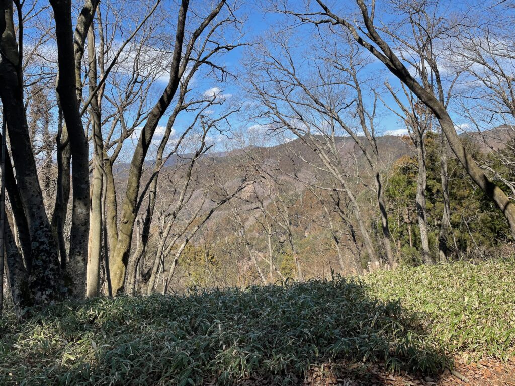 頂上からの景色