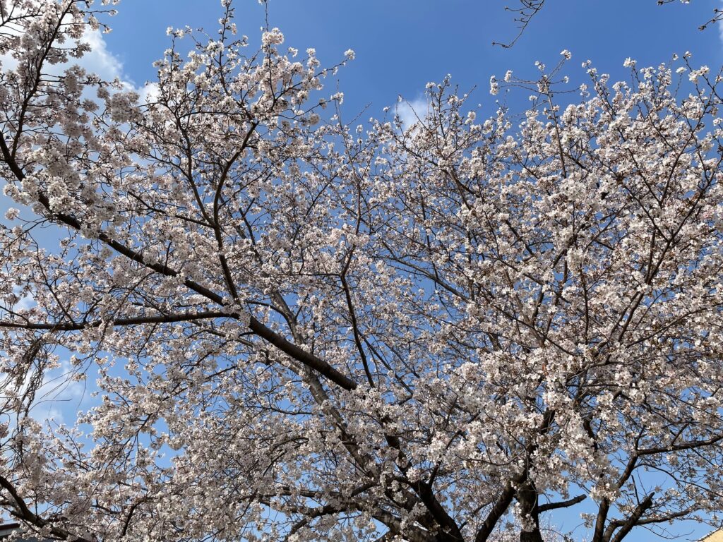 会場に到着して30分も経たないうちに終了