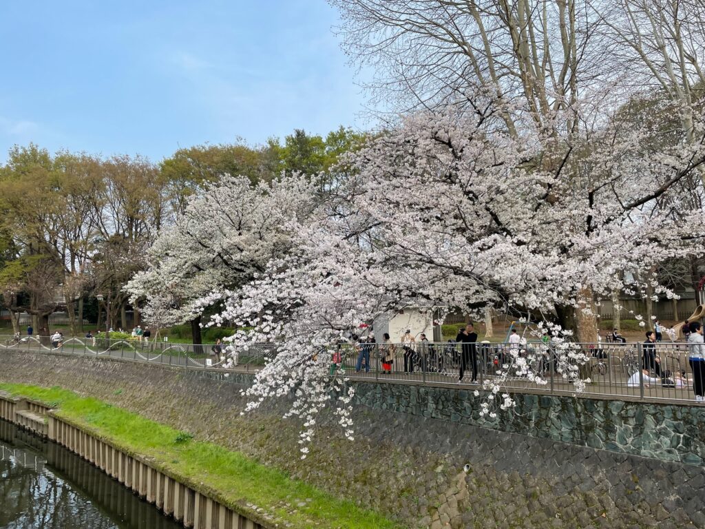 上流は良かったけど