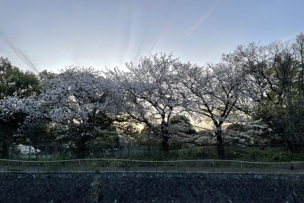 今週末はどうか