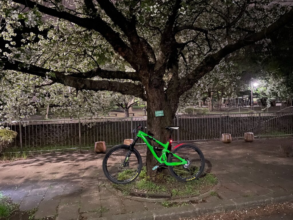 また来年も桜を楽しめるかなあ